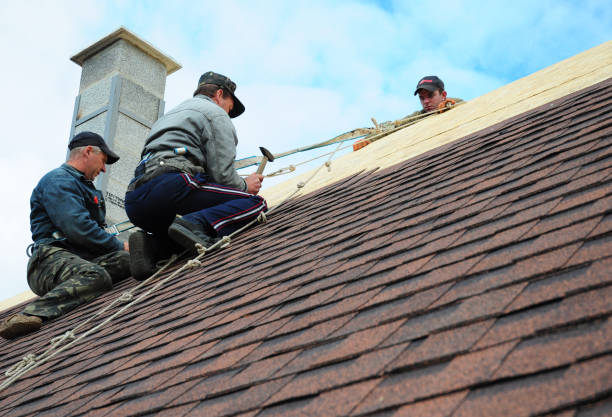 Best Roof Maintenance Services  in De Queen, AR